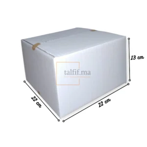 caisse carton 25x15x19 blanc
